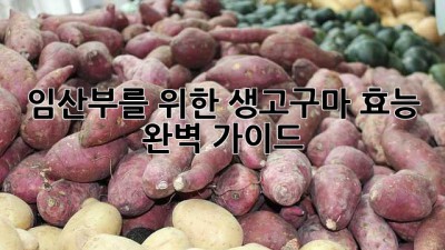 임산부를 위한 생고구마 효능 완벽 가이드