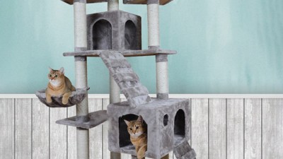 냥이 행복 UP! 득템 기회! 중고 캣타워 탐구생활
